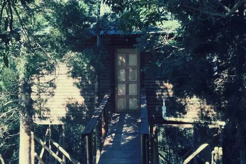 magoebaskloof