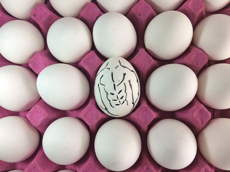 protein