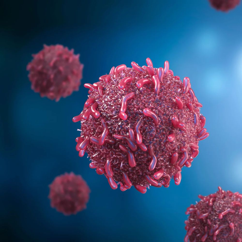 red cancer cells in blood